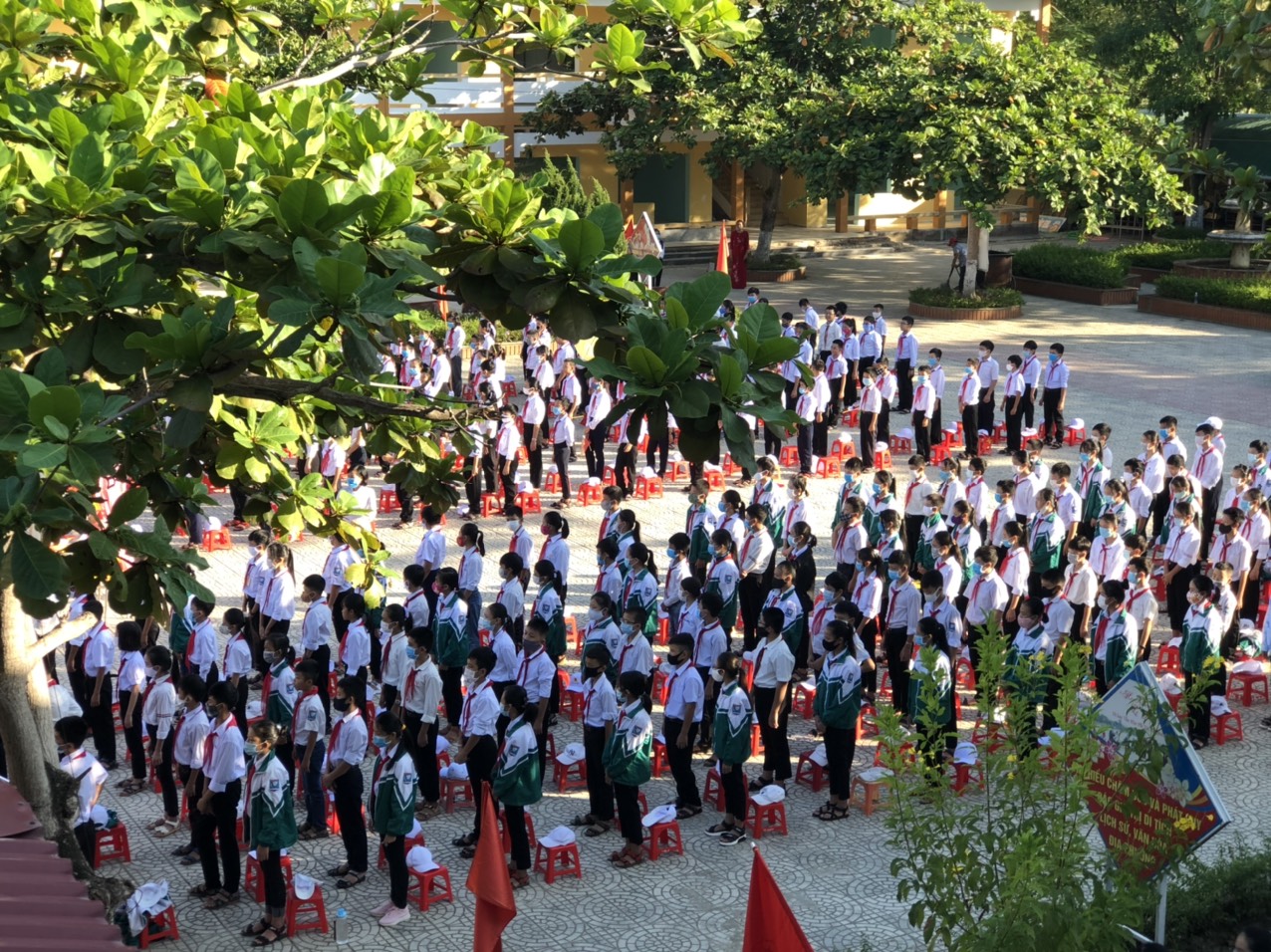 t902.jpg